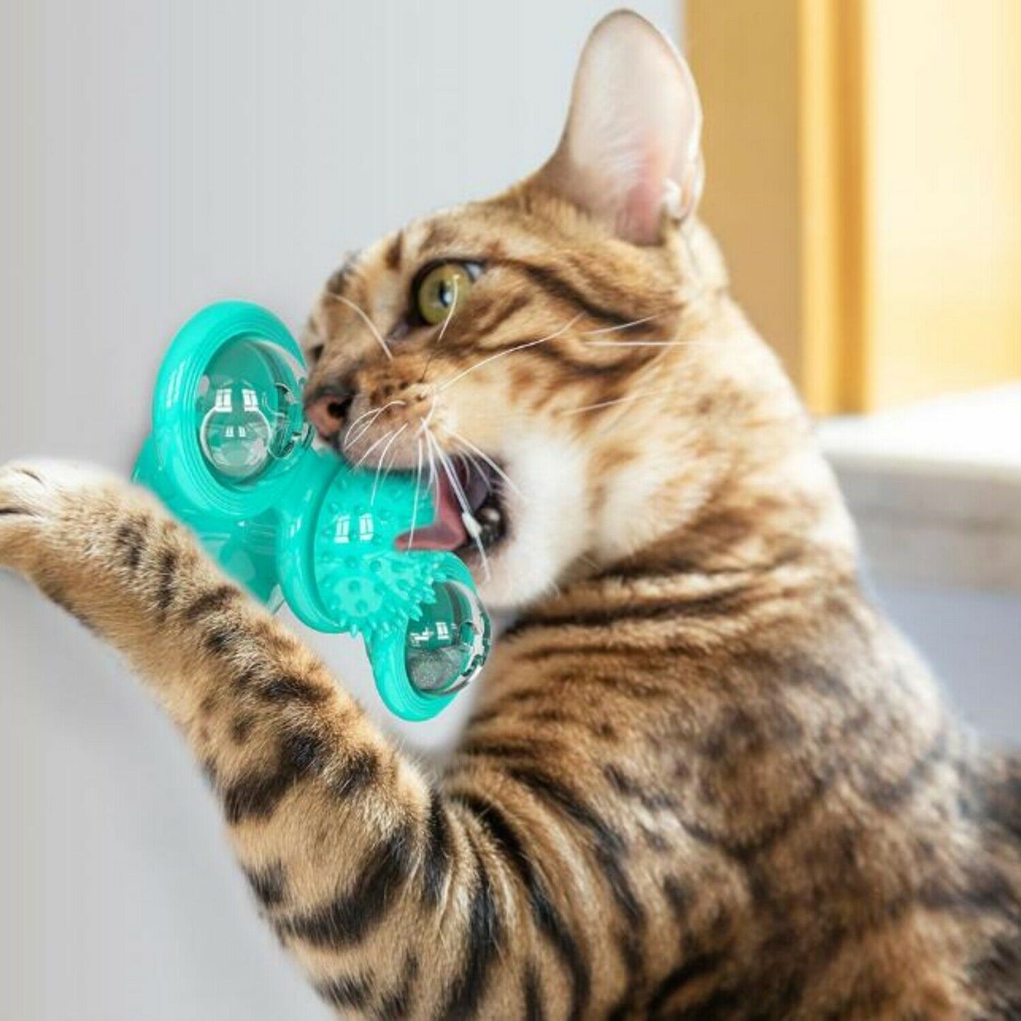 🌀 New Windmill Cat Toy –