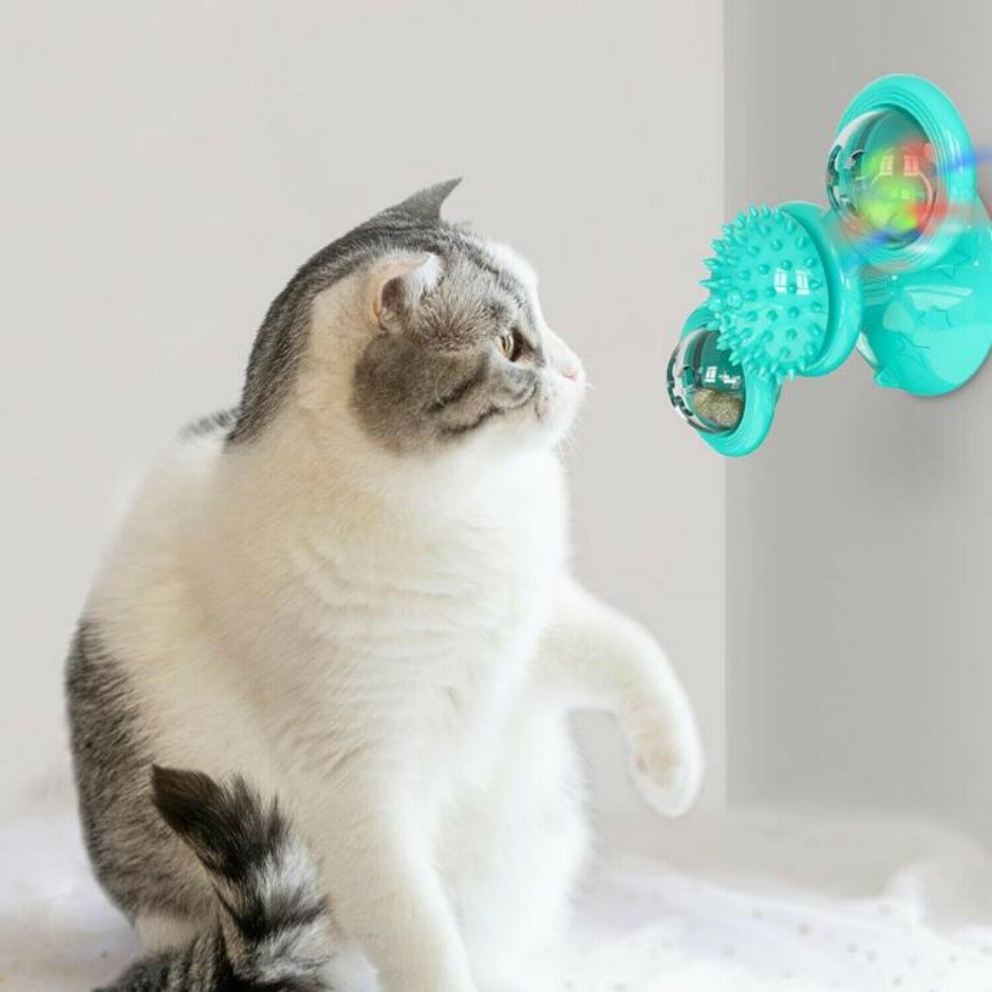 🌀 New Windmill Cat Toy –